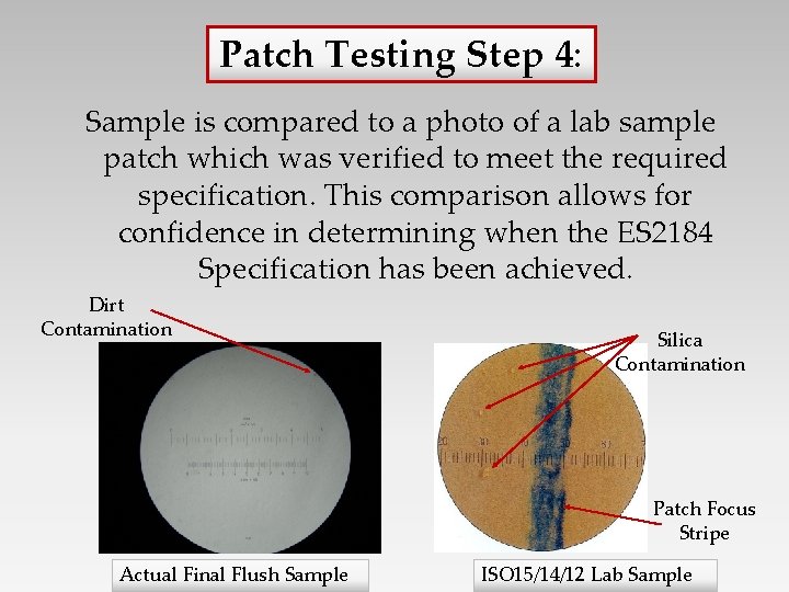 Patch Testing Step 4: Sample is compared to a photo of a lab sample
