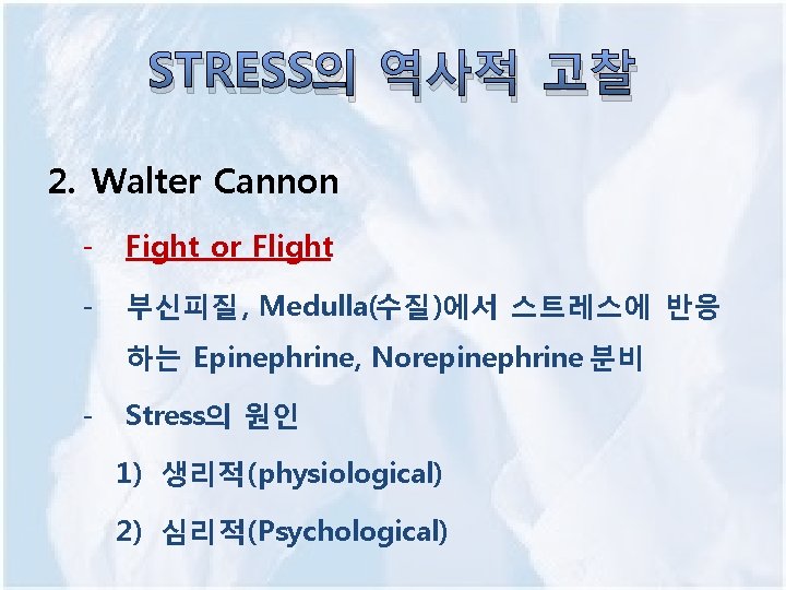 STRESS의 역사적 고찰 2. Walter Cannon - Fight or Flight - 부신피질, Medulla(수질)에서 스트레스에