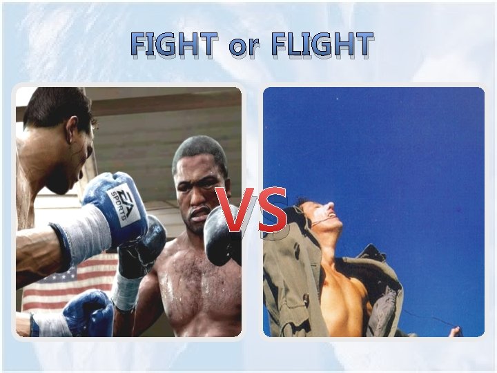 FIGHT or FLIGHT VS 