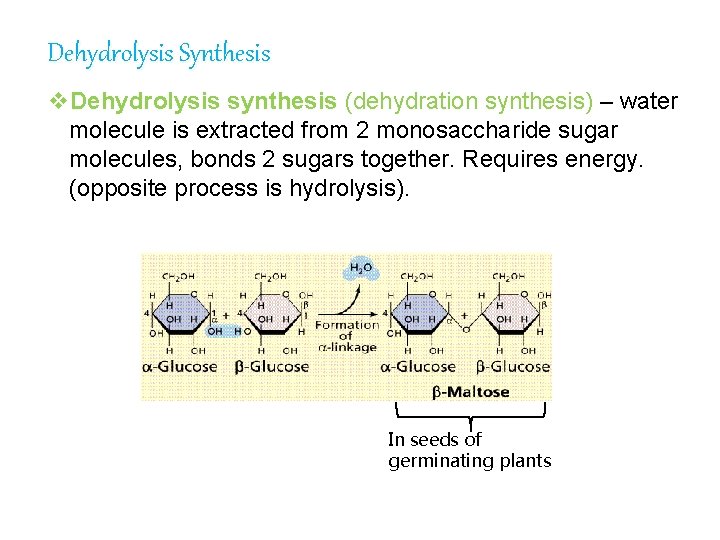 Dehydrolysis Synthesis v. Dehydrolysis synthesis (dehydration synthesis) – water molecule is extracted from 2