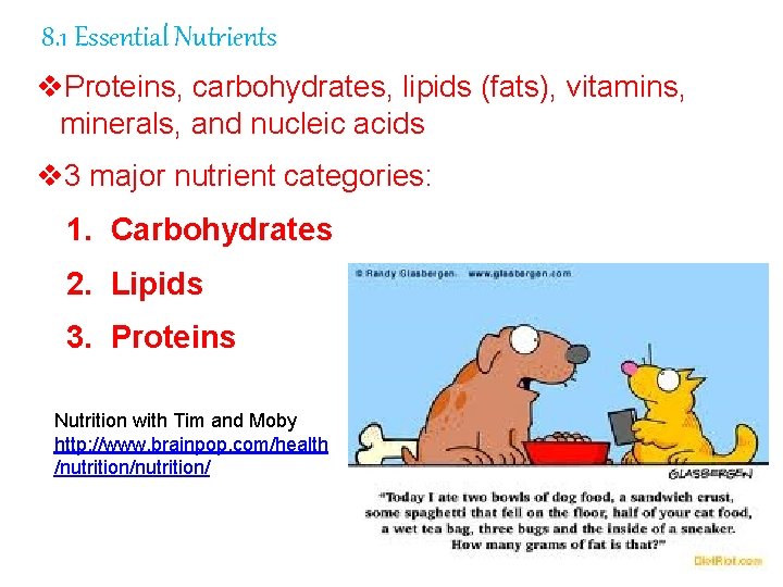 8. 1 Essential Nutrients v. Proteins, carbohydrates, lipids (fats), vitamins, minerals, and nucleic acids