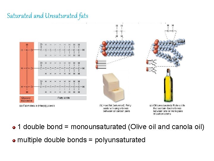 Saturated and Unsaturated fats 1 double bond = monounsaturated (Olive oil and canola oil)