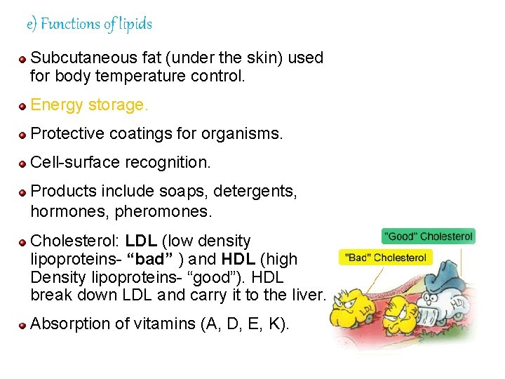 e) Functions of lipids Subcutaneous fat (under the skin) used for body temperature control.