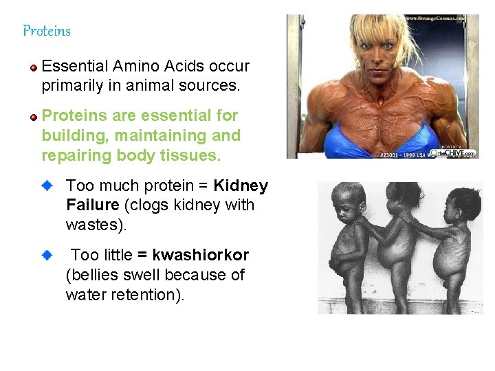 Proteins Essential Amino Acids occur primarily in animal sources. Proteins are essential for building,