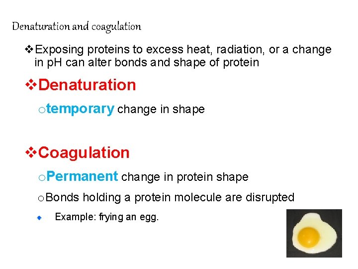 Denaturation and coagulation v. Exposing proteins to excess heat, radiation, or a change in