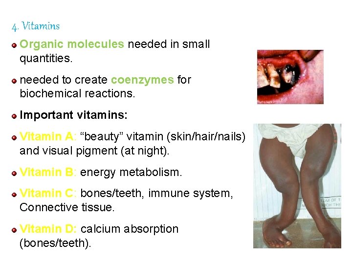 4. Vitamins Organic molecules needed in small quantities. needed to create coenzymes for biochemical