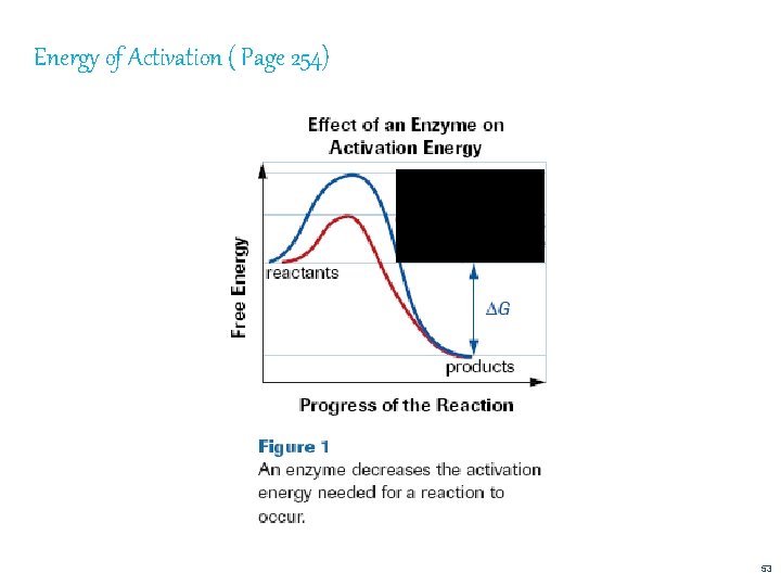 Energy of Activation ( Page 254) 53 