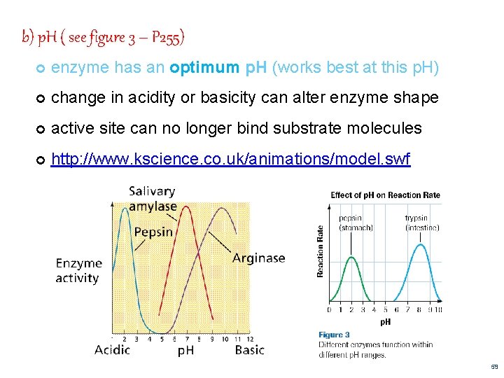 b) p. H ( see figure 3 – P 255) enzyme has an optimum