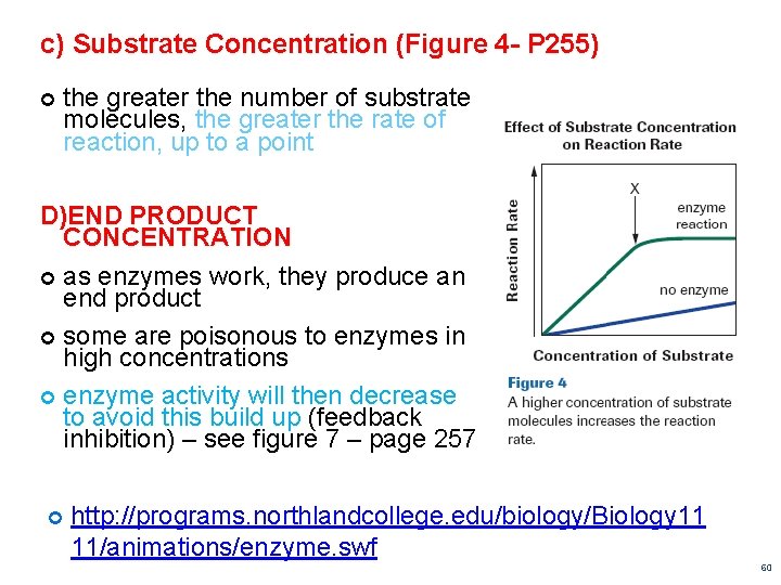 c) Substrate Concentration (Figure 4 - P 255) the greater the number of substrate