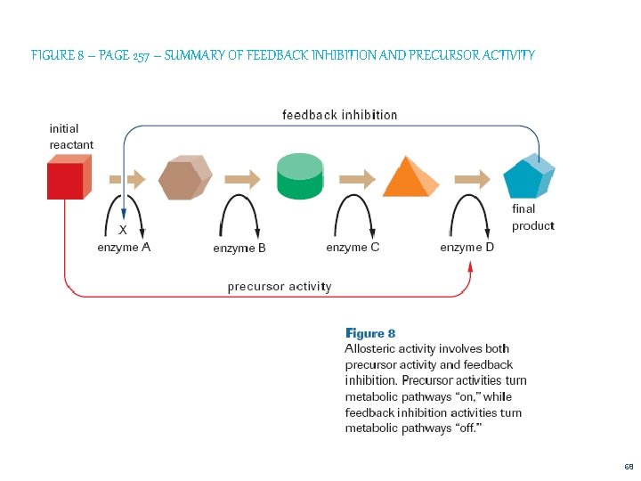 FIGURE 8 – PAGE 257 – SUMMARY OF FEEDBACK INHIBITION AND PRECURSOR ACTIVITY 68