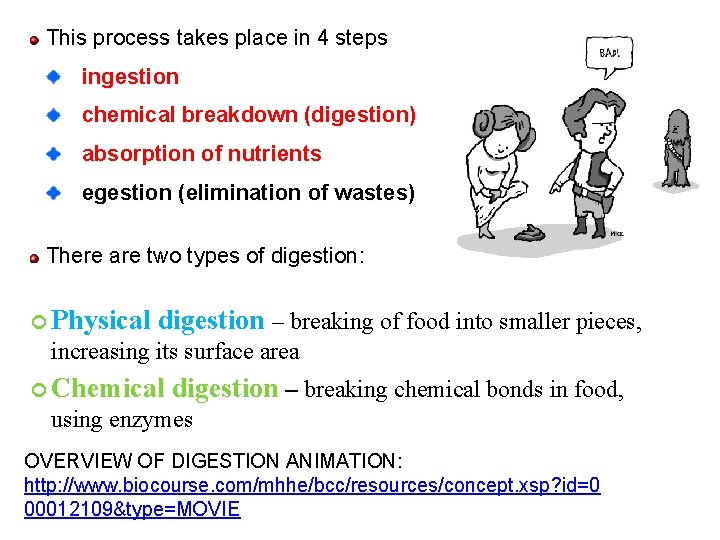 This process takes place in 4 steps ingestion chemical breakdown (digestion) absorption of nutrients