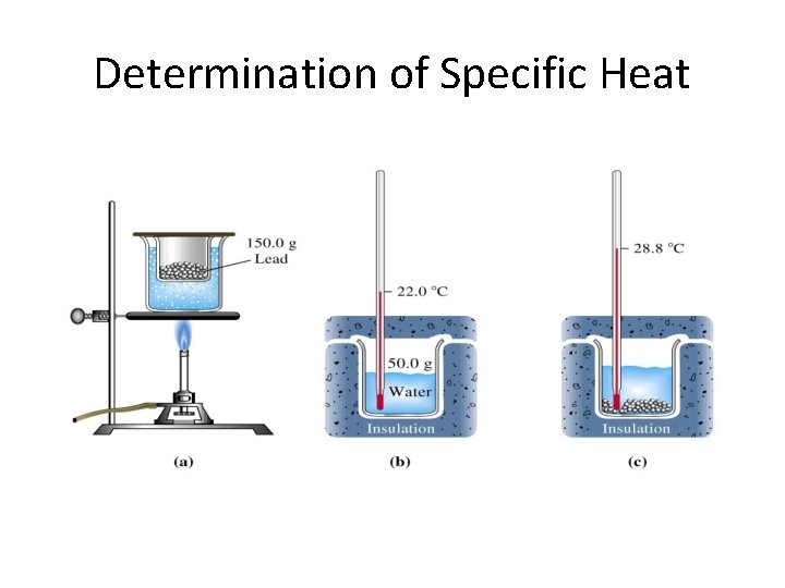 Determination of Specific Heat 