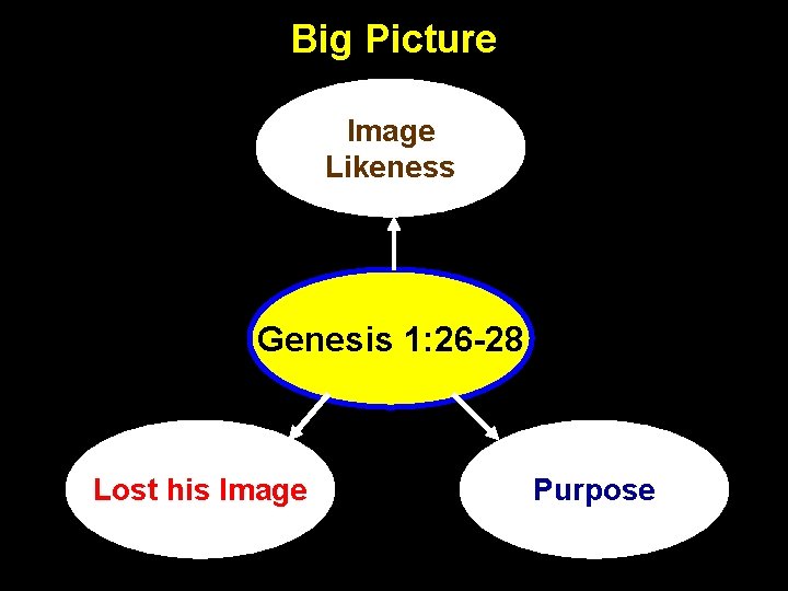 Big Picture Image Likeness Genesis 1: 26 -28 Lost his Image Purpose 