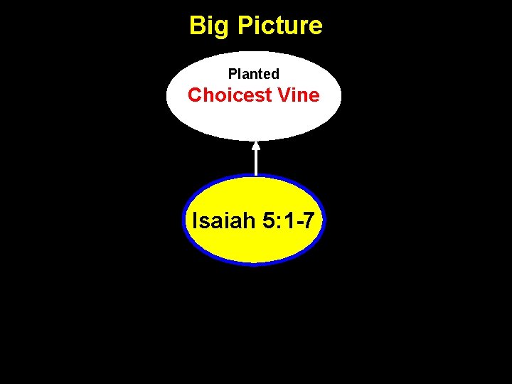 Big Picture Planted Choicest Vine Isaiah 5: 1 -7 