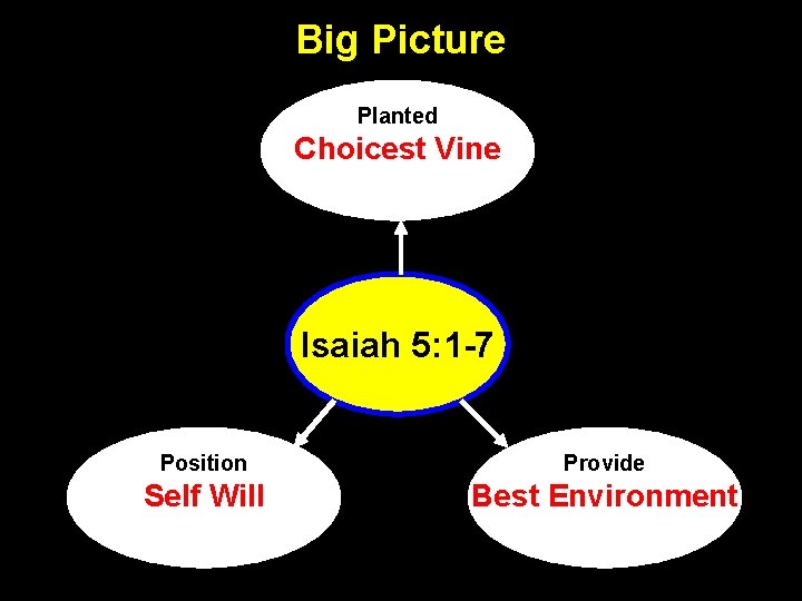 Big Picture Planted Choicest Vine Isaiah 5: 1 -7 Position Provide Self Will Best