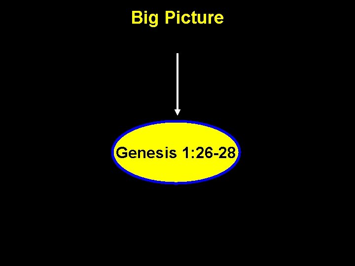 Big Picture Genesis 1: 26 -28 