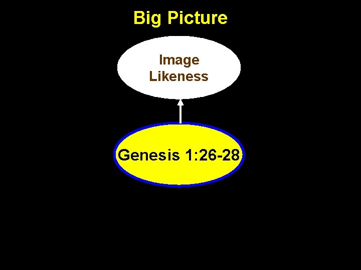 Big Picture Image Likeness Genesis 1: 26 -28 