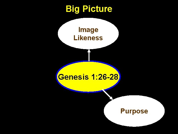 Big Picture Image Likeness Genesis 1: 26 -28 Purpose 