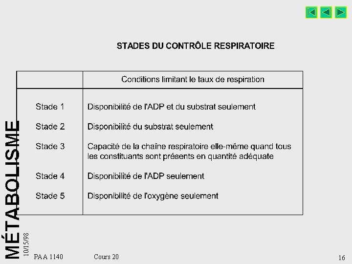 10/15/98 MÉTABOLISME PAA 1140 Cours 20 16 