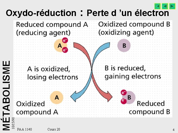 10/15/98 MÉTABOLISME Oxydo-réduction : Perte d ’un électron PAA 1140 Cours 20 4 