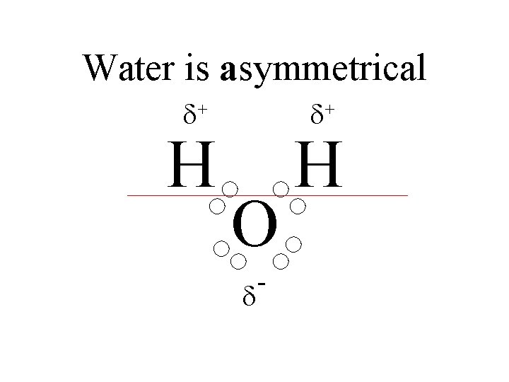 Water is asymmetrical + O - H + H 