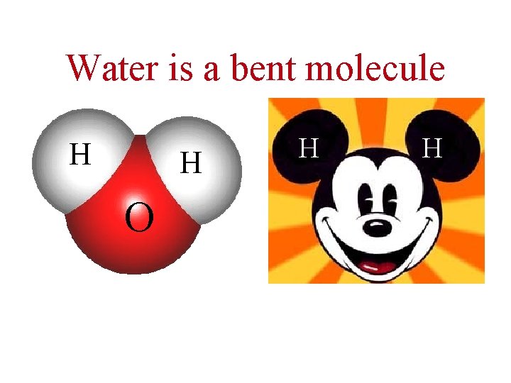 Water is a bent molecule H H O H H 