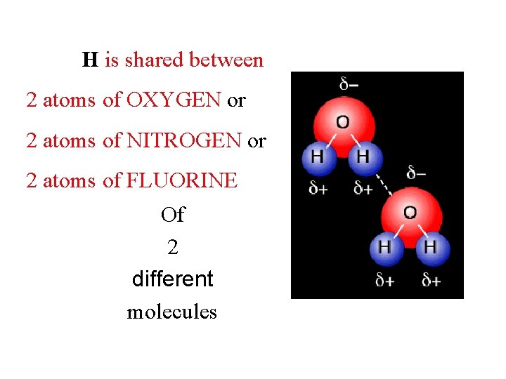 H is shared between 2 atoms of OXYGEN or 2 atoms of NITROGEN or