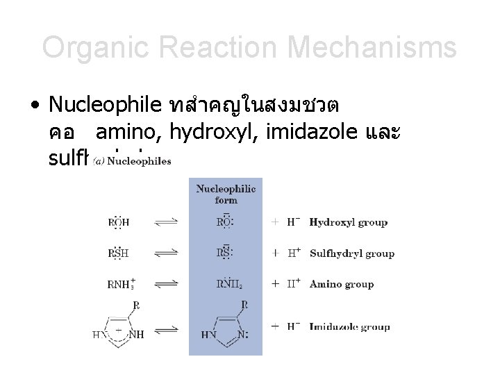 Organic Reaction Mechanisms • Nucleophile ทสำคญในสงมชวต คอ amino, hydroxyl, imidazole และ sulfhydryl 