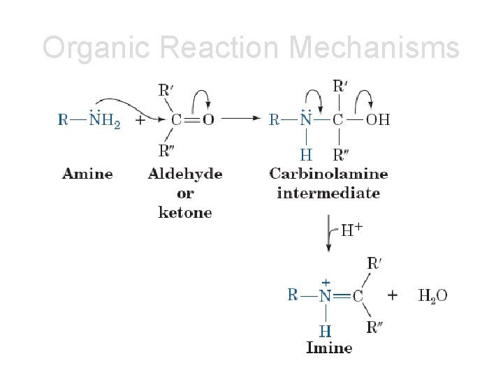 Organic Reaction Mechanisms 