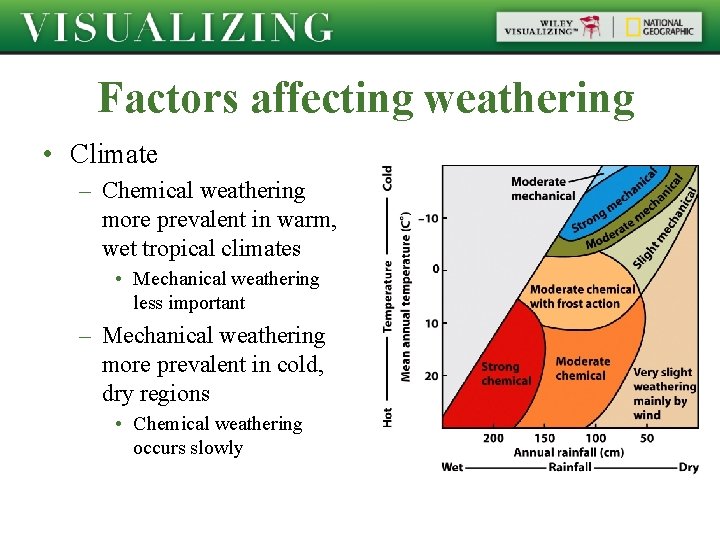Factors affecting weathering • Climate – Chemical weathering more prevalent in warm, wet tropical