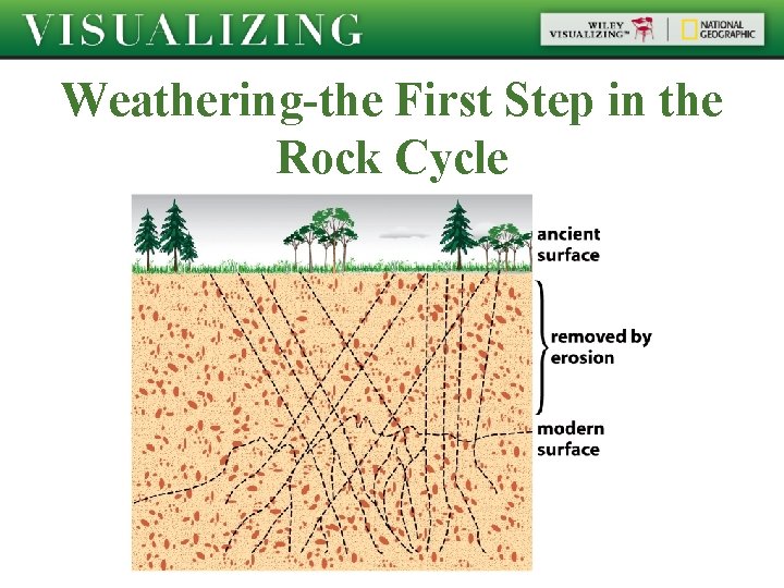 Weathering-the First Step in the Rock Cycle 