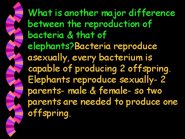What is another major difference between the reproduction of bacteria & that of elephants?