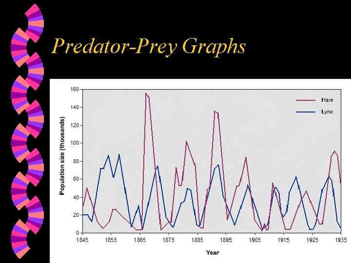 Predator-Prey Graphs 