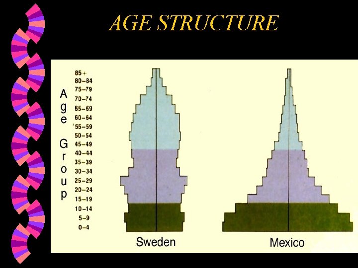 AGE STRUCTURE 