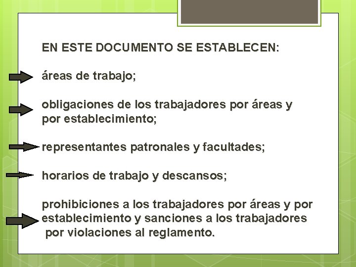 EN ESTE DOCUMENTO SE ESTABLECEN: áreas de trabajo; obligaciones de los trabajadores por áreas
