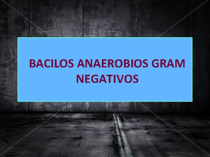 BACILOS ANAEROBIOS GRAM NEGATIVOS 