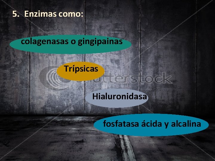 5. Enzimas como: colagenasas o gingipainas Trípsicas Hialuronidasa fosfatasa ácida y alcalina 