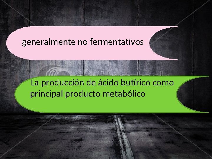 generalmente no fermentativos La producción de ácido butírico como principal producto metabólico 