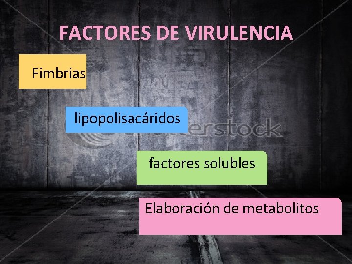 FACTORES DE VIRULENCIA Fimbrias lipopolisacáridos factores solubles Elaboración de metabolitos 