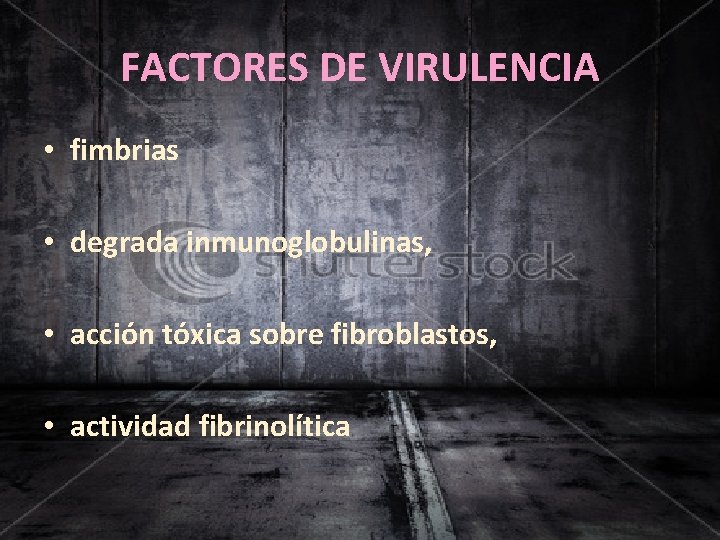 FACTORES DE VIRULENCIA • fimbrias • degrada inmunoglobulinas, • acción tóxica sobre fibroblastos, •