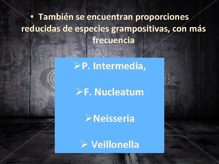  • También se encuentran proporciones reducidas de especies grampositivas, con más frecuencia ØP.