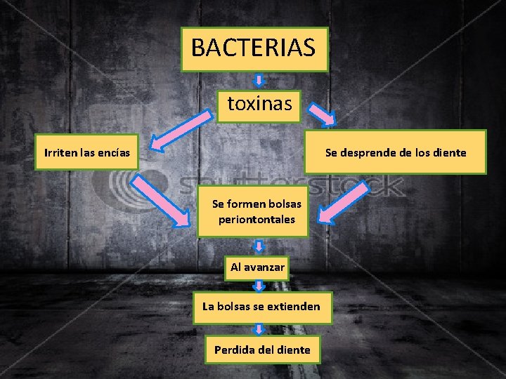 BACTERIAS toxinas Irriten las encías Se desprende de los diente Se formen bolsas periontontales