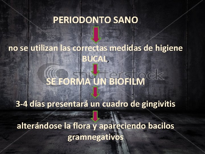 PERIODONTO SANO no se utilizan las correctas medidas de higiene BUCAL, SE FORMA UN