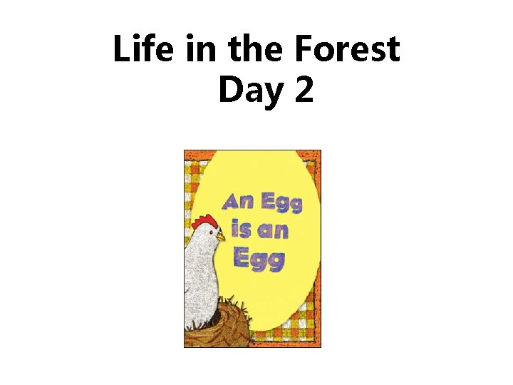 Life in the Forest Day 2 