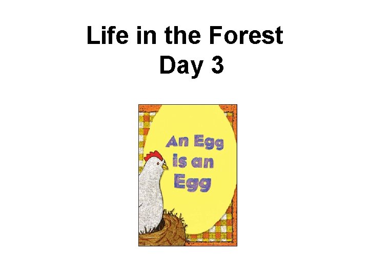 Life in the Forest Day 3 