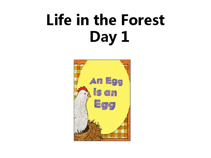 Life in the Forest Day 1 