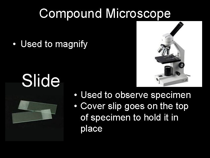 Compound Microscope • Used to magnify Slide • Used to observe specimen • Cover