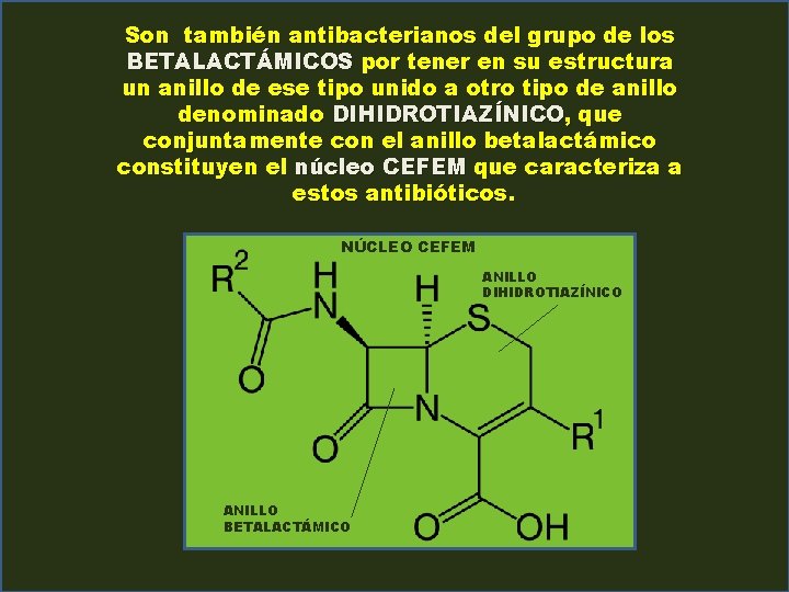 Son también antibacterianos del grupo de los BETALACTÁMICOS por tener en su estructura un