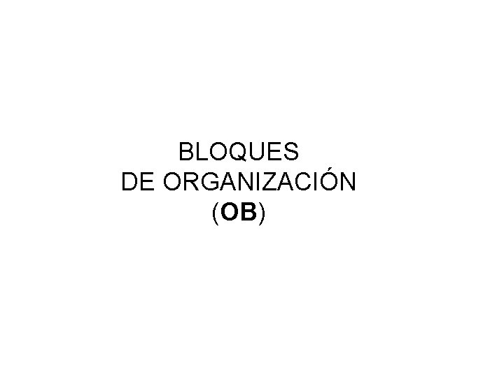 BLOQUES DE ORGANIZACIÓN (OB) 