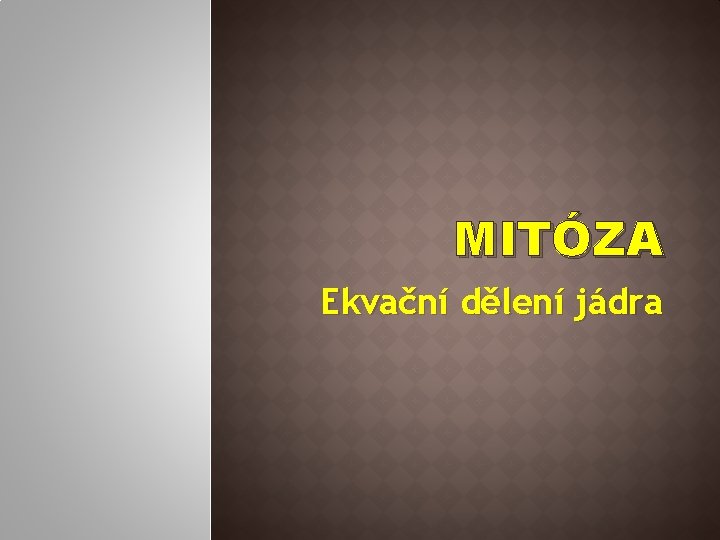 MITÓZA Ekvační dělení jádra 